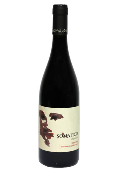 Somatico IGT 2021