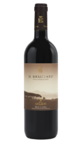 Bruciato DOC 2021/2022